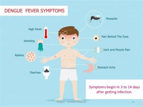 Step-by-Step Approach to Prevent and Treat Bone Break Fever