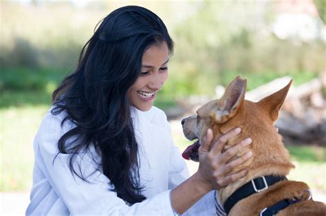 Stepping into the World of Animal Care