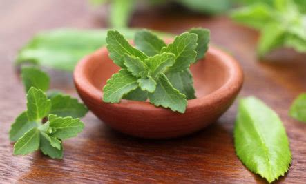 Stevia: A Natural Sweetener with Remarkable Health Benefits