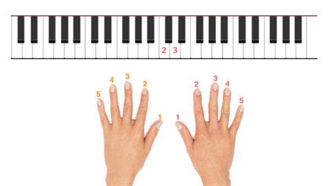 Stick for La Pianista: The Ultimate Guide to Enhancing Your Performance