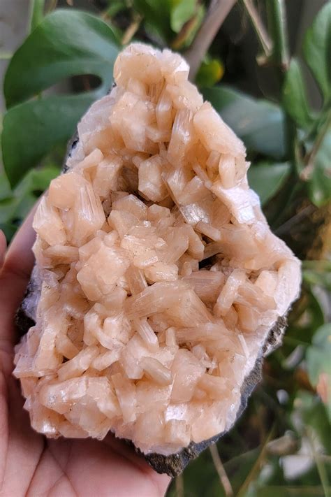 Stilbite Crystal: A Stone of Serenity and Spiritual Alignment