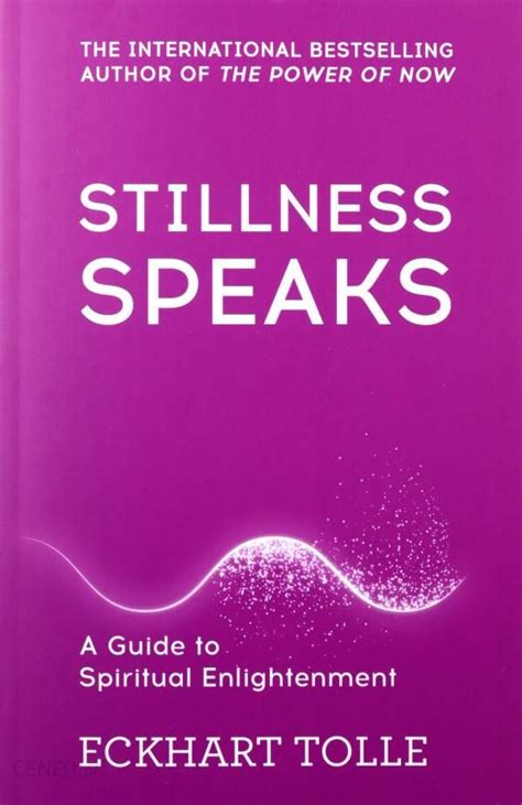 Stillness Speaks The Power of Now Reader