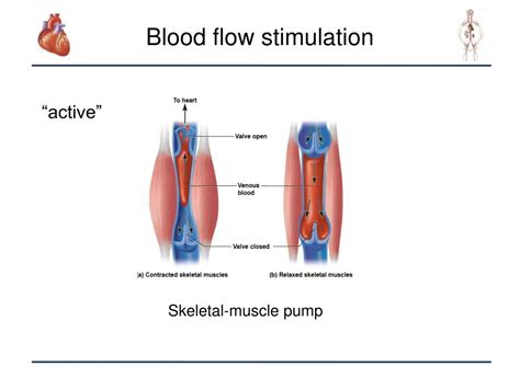 Stimulation of Blood Flow: