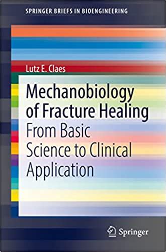 Stimulation of Fracture Healing with Ultrasound 1st Edition PDF