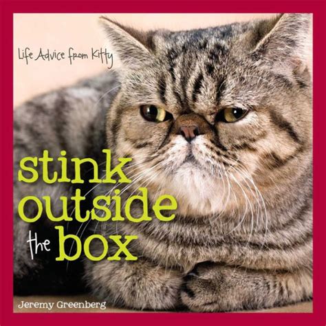 Stink Outside the Box Life Advice from Kitty Epub