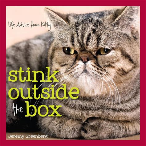 Stink Outside the Box Life Advice from Kitty Epub