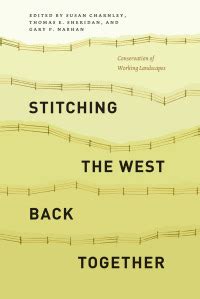 Stitching 1st Edition PDF