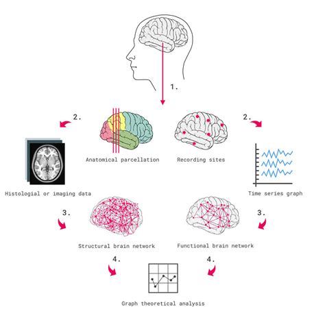 Stochastic Methods in Neuroscience Epub
