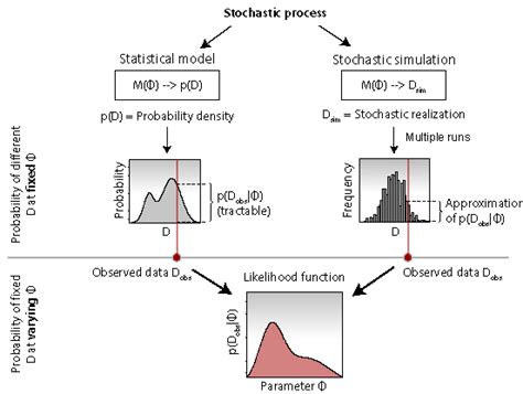 Stochastic Processes: A Gateway to Understanding Uncertainty