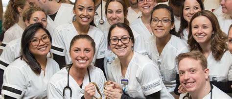 Stockton University Nursing: A Catalyst for Excellence in Healthcare