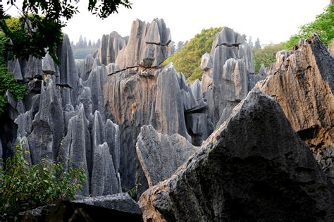 Stone Forest: