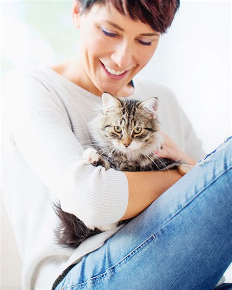Stony Run Vet: Comprehensive Guide to Top-Notch Veterinary Care