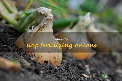 Stop fertilizing: