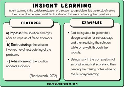 Stories, Lessons, and Insights