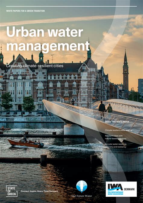 Storm Drain Ability: Unlocking the Secrets of Urban Water Management