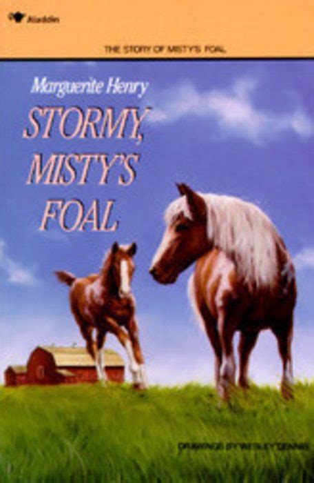 Stormy Misty s Foal Epub