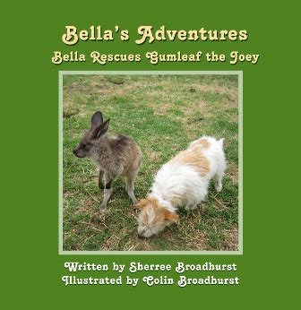 Story 1: Bella's Adventures