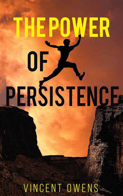 Story 1: The Power of Persistence