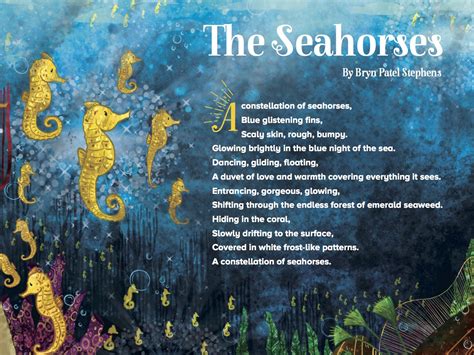 Story 1: The Seahorse Encounter