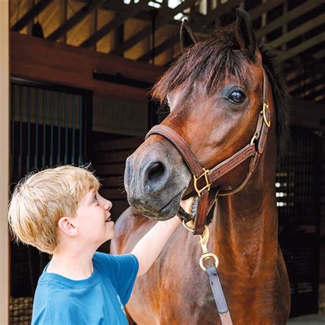 Storybook Farm: A Magical Destination for Children of All Ages