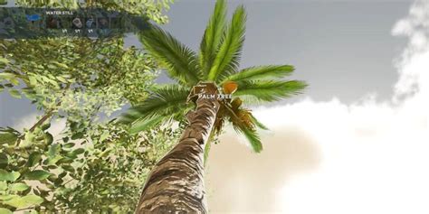 Stranded Deep: Fill Water Still with Palm Fronds (Ultimate Guide)