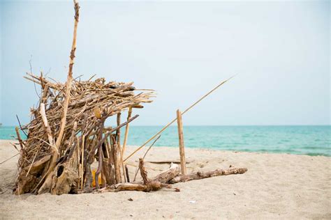 Stranded on an Island Reader