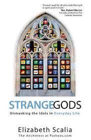 Strange Gods Unmasking the Idols in Everyday Life Epub