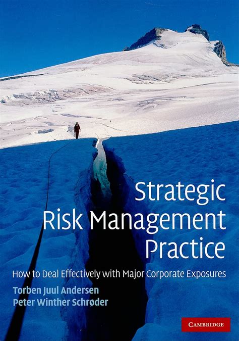 Strategic Risk Management Practice How to Deal Effectively with Major Corporate Exposures Epub