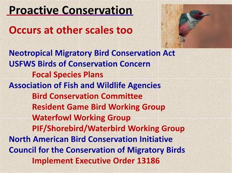 Strategies for Bastion Bird Conservation