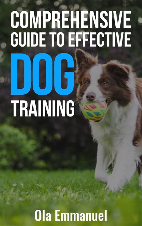 Strategies for Effective Dog Training