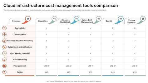 StratusWave cost management tools and budget optimization strategies