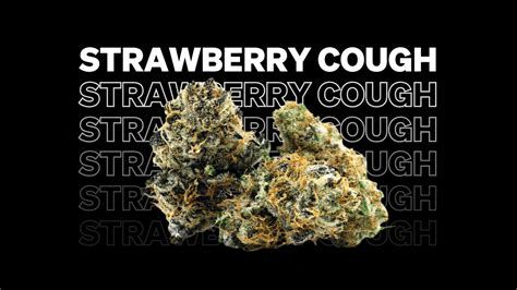 Strawberry Cough Strain: The Ultimate Guide to an Uplifting and Euphoric Experience