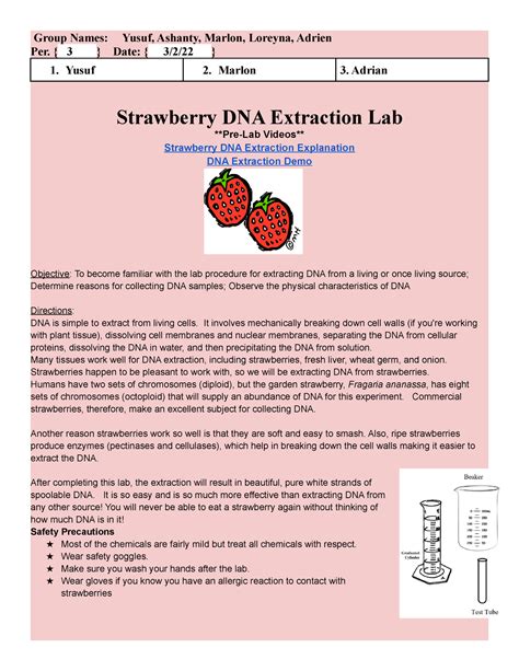 Strawberry Dna Extraction Lab Answers Kindle Editon