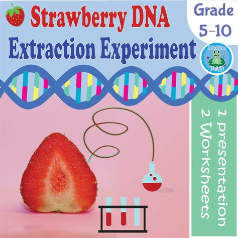 Strawberry Lab Answers Doc