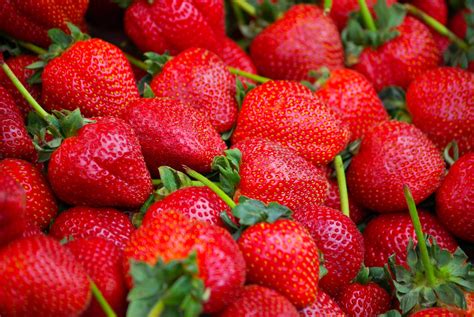 Strawberry Summer PDF