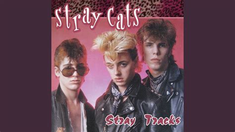 Stray Cat Strut Song: The Purr-fect Soundtrack to Your Day