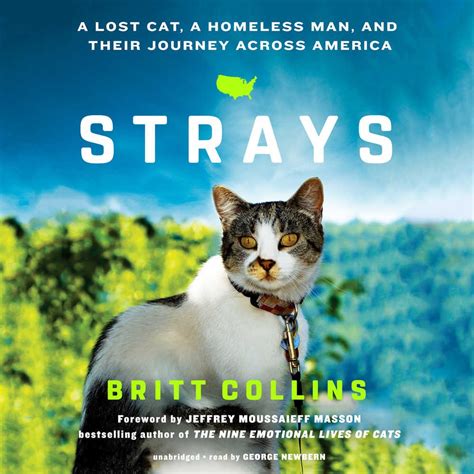 Strays A Lost Cat a Homeless Man and Their Journey Across America Doc