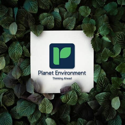 Stream Environment S Pte Ltd: Unveiling a New Frontier in Environmental Technology