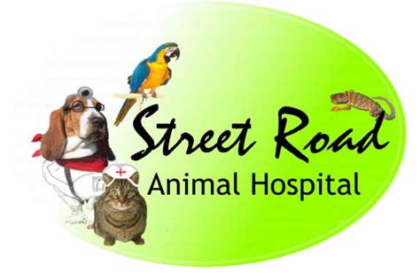 Street Road Animal Hospital: Redefining Veterinary Care