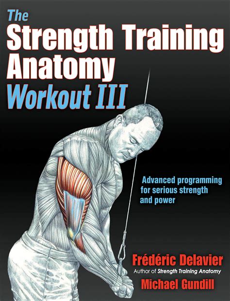 Strength Training Anatomy Workout The Epub