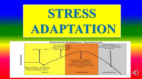 Stress Adaptation and Evolution Doc