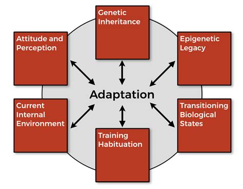 Stress Adaptation and Evolution Doc