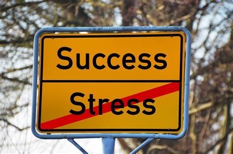 Stress for Success Reader