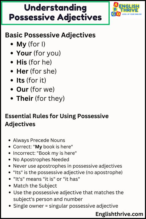 Stressed Possessive Adjectives: A Complete Guide to Enhance Your Writing