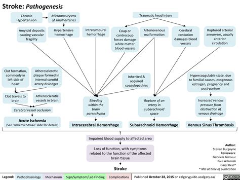 Stroke Pathophysiology Reader