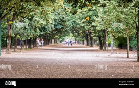 Strolling amidst Lush Gardens