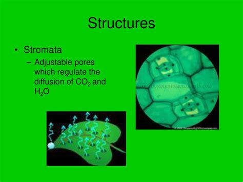 Stromata Procatholica; A Series of Papers Principally Procatholic Or Antidotal to Antichristianism Kindle Editon