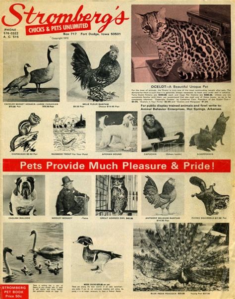 Stromberg Hatchery Catalog