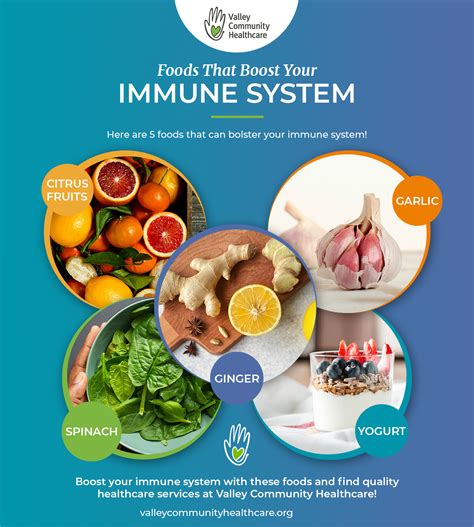 Stronger immune system: