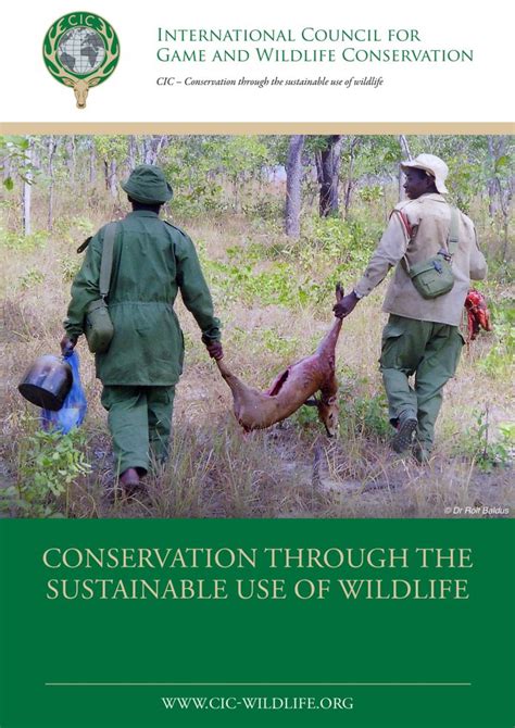 Stronghold Small Game Management: Empowering Wildlife Enhancement and Recreation